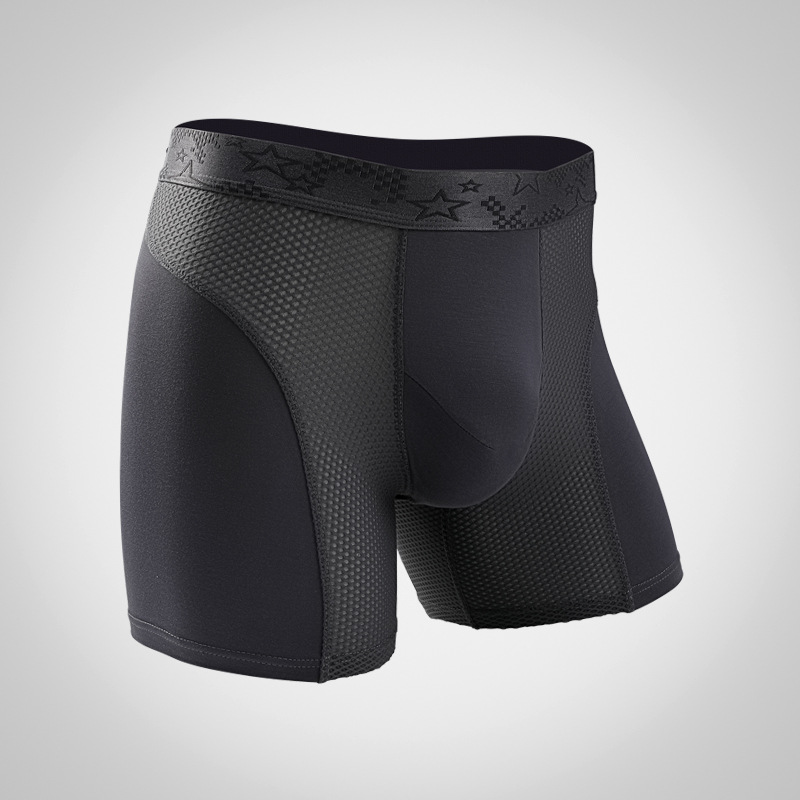 L-6XL Large Size Mens Mesh Mod - đánh giá và giá Mesh Sport Boxer