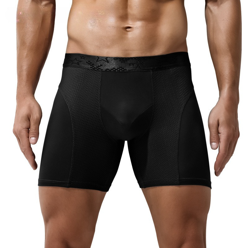 L-6XL Large Size Mens Mesh Mod - đánh giá và giá Mesh Sport Boxer