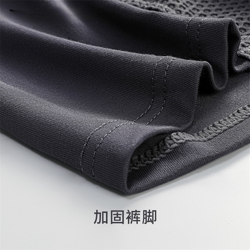 L-6XL Large Size Mens Mesh Mod - đánh giá và giá Mesh Sport Boxer