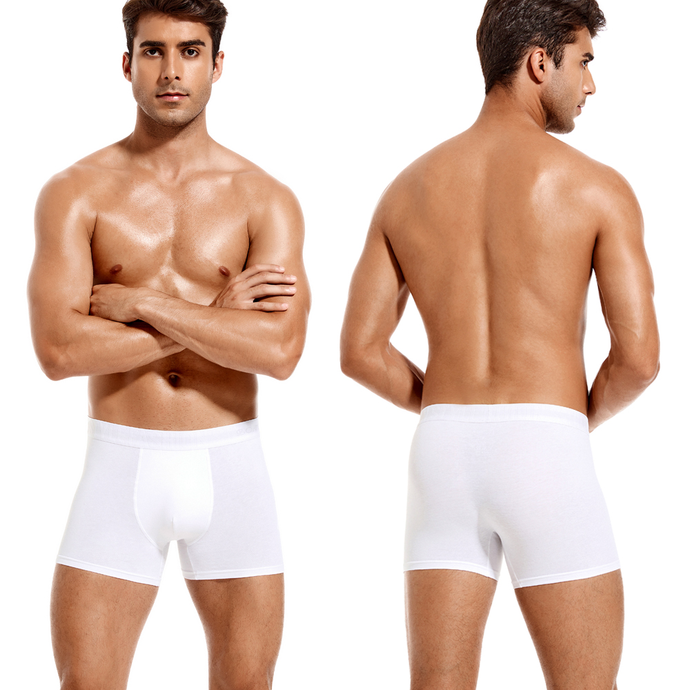 6pcs White Men Panties Cotton  - đánh giá và giá Multi Pack Underwear