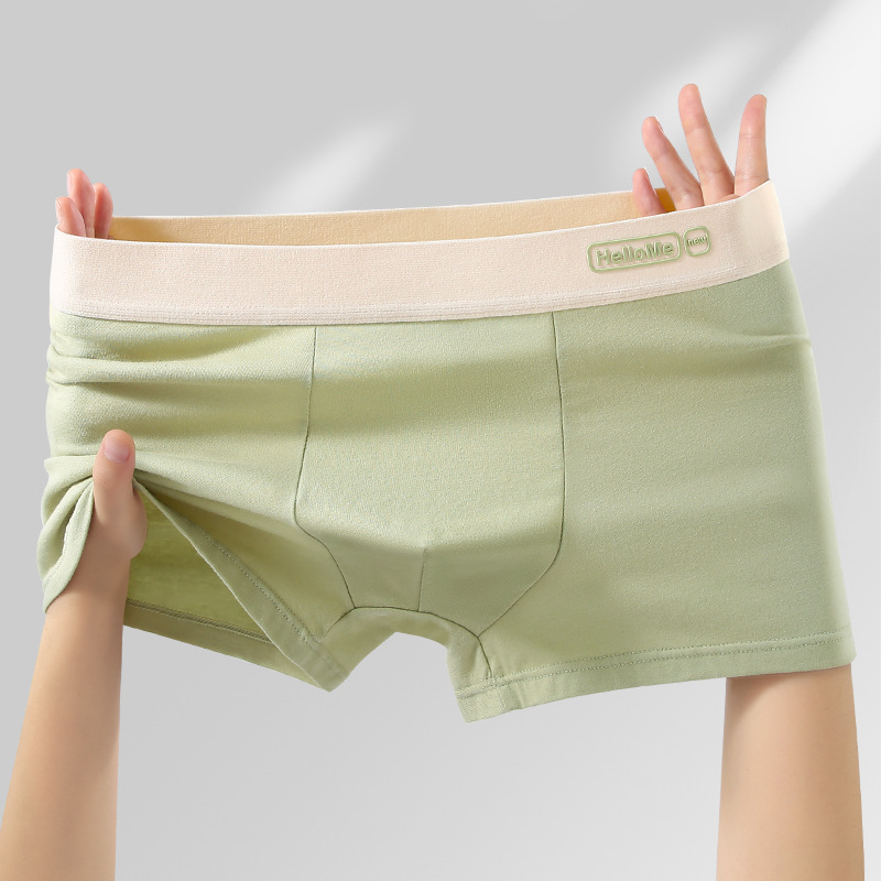L-4XL Breathable Cotton Men Bo - đánh giá và giá Boxer Brief Pack Cotton