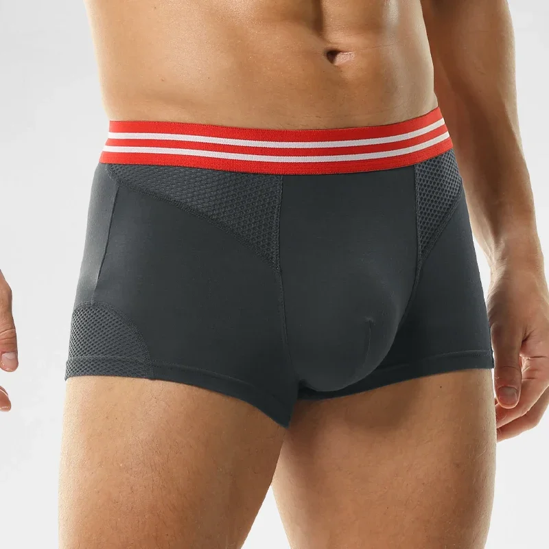 Underwear Men's boxers Modal m - đánh giá và giá Mesh Sport Boxer