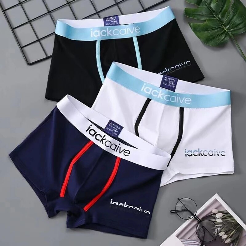 3Pcs Male Panties Cotton Men's - đánh giá và giá Boxer Brief Pack Cotton