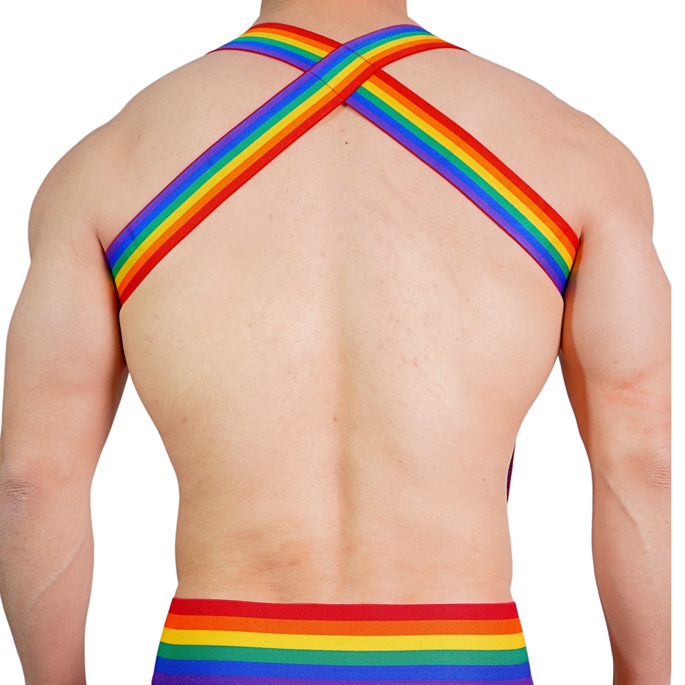JOCKMAIL Rainbow Body Harness  - đánh giá và giá Jockstrap Athletic
