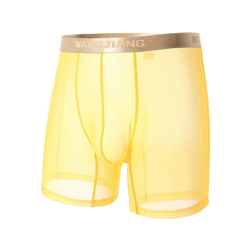 Wangjiang Men's Mesh Boxer Sho - đánh giá và giá Mesh Sport Boxer